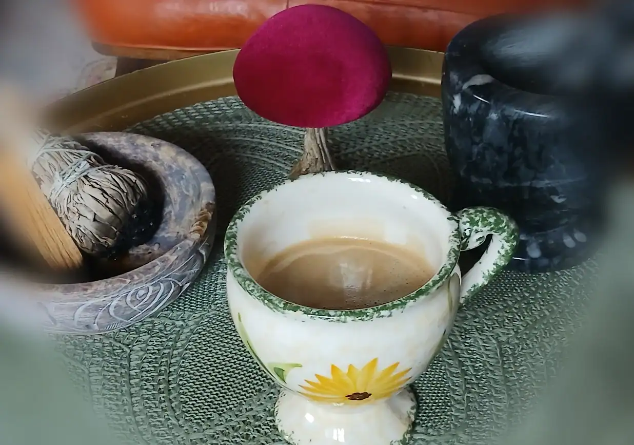 cup of cacao, a mushroom at an altar